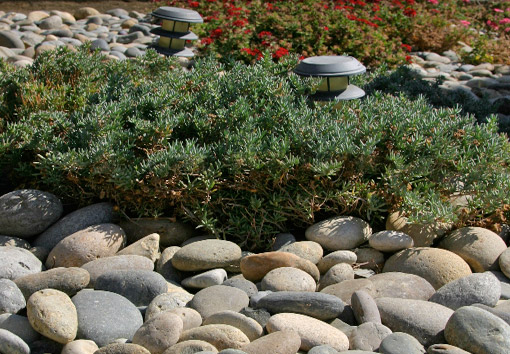 River Rock Fresno Clovis Ca, How To Use River Rock In Landscaping